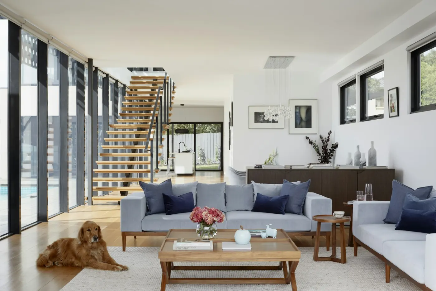 Toronto living room with a dog, cleaned and tidied